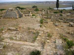lixus26.jpg